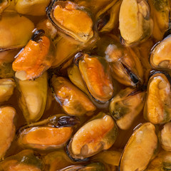 peeled mussel texture closeup