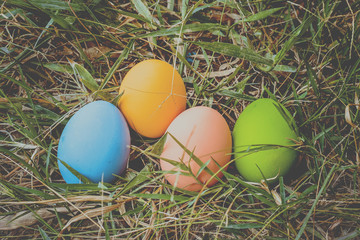 Colorful easter eggs on the green grass Background with easter eggs