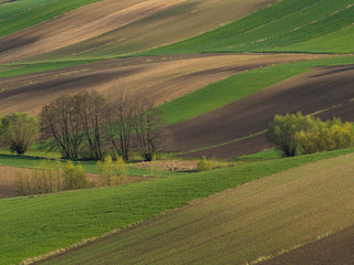 Countryside spring landscape of plowed fields. Green grass and trees. Ponidzie. Poland