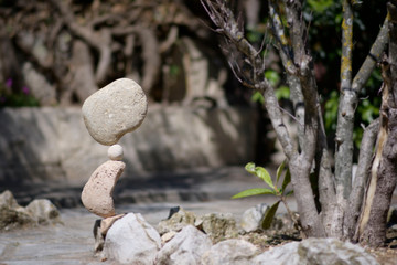 Garden at 3