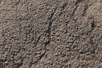 The cracked asphalt. Craquelure. The texture of the asphalt.