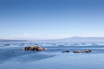 Fototapeta premium Stunning views of the oyster farms of Galicia Spain on a calm sunny day