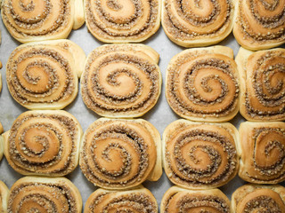 cookies on a white background