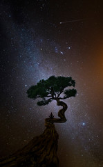 Yoga woman under a tree in front of the universe