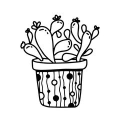 Hand drawn house plant succulent in pot in doodle cartoon style isolated on white background. Vector outline potted plant collection