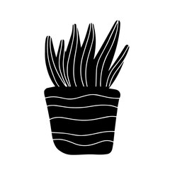 Hand drawn house plant succulent in pot in doodle cartoon style isolated on white background. Vector silhouette potted plant collection.