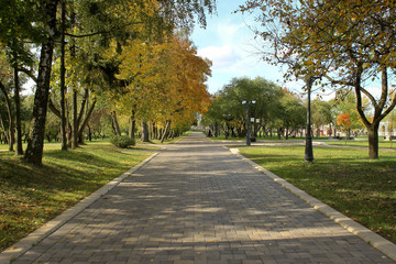 Alley in the autumn park stretching into the distance