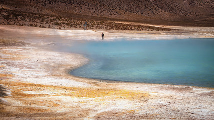 Beautiful landscape of the hot springs Polloquere, in to Salt Surire, Isluga Volcano National Park located more than 4000 meters, Chile