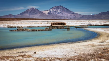 Foto op Canvas Beautiful landscape of the hot springs Polloquere, in to Salt Surire, Isluga Volcano National Park located more than 4000 meters, Chile © jarcosa