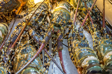 Seafood at a market in Bangkok.