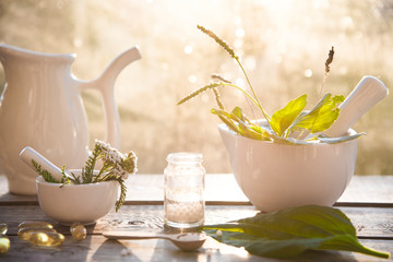 homeopathic granules, medicinal herbs on a natural wooden table on a natural background. alternative medicine and homeopathy - obrazy, fototapety, plakaty