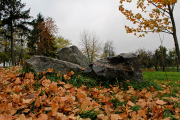 Large rock surrounded by yellow fallen leaves