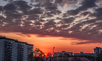 Fototapeta na wymiar Bright scarlet dawn against the background of city houses