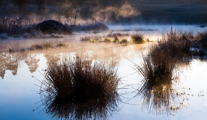 Wiosenne Mokradła © Wojciech Lisiński