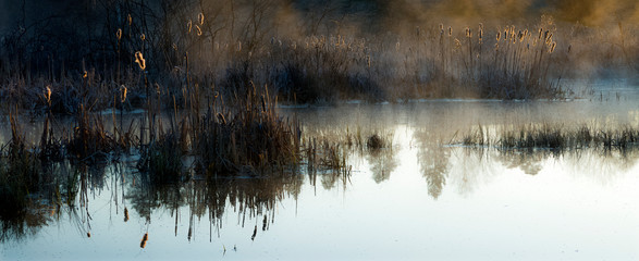 Wiosenny Staw W Porannych Mgłach  © Wojciech Lisiński