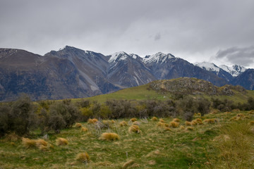 new zealand landscape