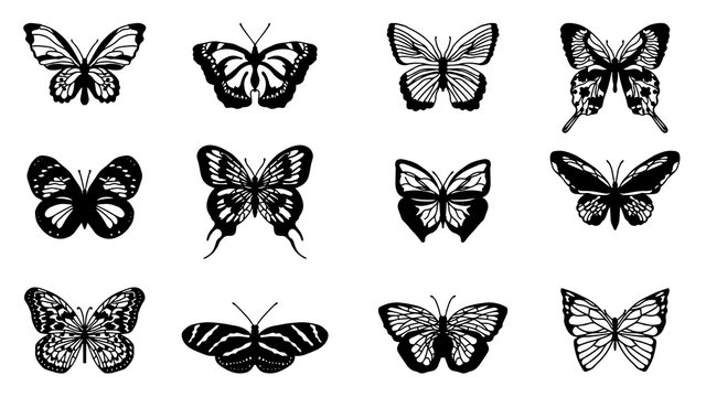 Butterflies carve set, Vector illustration.