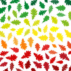 Oak leaves autumn gradient pattern with lino print texture. Flat illustration