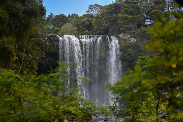whangarei falls in new zealand