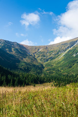 Obraz premium Sunny day in Polish Tatra mountains in summer
