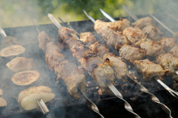 Pork meat and chopped vegetables are grilled on hot coals
