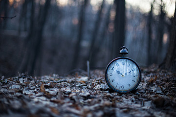 Alarm clock in the forest on dry leaves, means that life is passing out and need to hurry