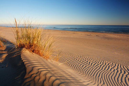 Fototapeta Wydmy na wybrzeżu Morza Bałtyckiego,wschód słońca na plaży w Dźwirzynie.