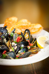 Mussels in White Wine Sauce
