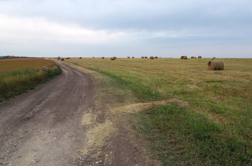 The landscape with the big ground road, the big field with green grass, round hay rolls, the cloudy sky.