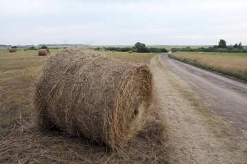The landscape with the big ground road, the big round hay roll near it, the big field with yellow grass and far bushes, the cloudy sky.