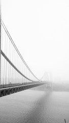 the bridge in the fog