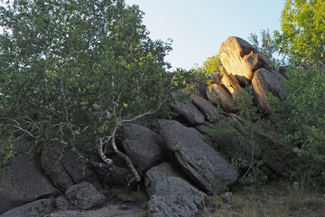 The fantastic rocks with cracks in the birch forest in the summer evening