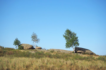 The landscape with the big grey fantastic stones, three small trees, yellow and green grass, the blue clean sky 