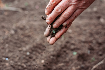 Female farmer hands holding soil. Environmental protection concept