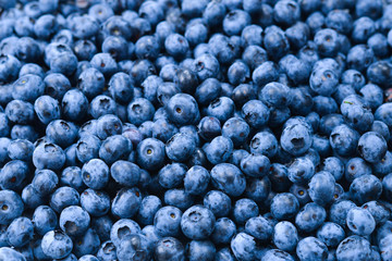Fresh blueberry background. Texture blueberry berries close up.