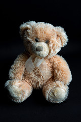 Light brown teddy bear is sitting on dark black background