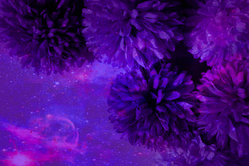 Beautiful abstract color blue pink and purple flowers on black background and blue graphic dark...