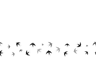 Seamless vector pattern. Swallows. Located below. Vector graphics.