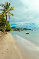 View of beach with sail boats and coconut tree on Martinique island in Caribbean