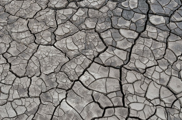 Cracked dry earth texture