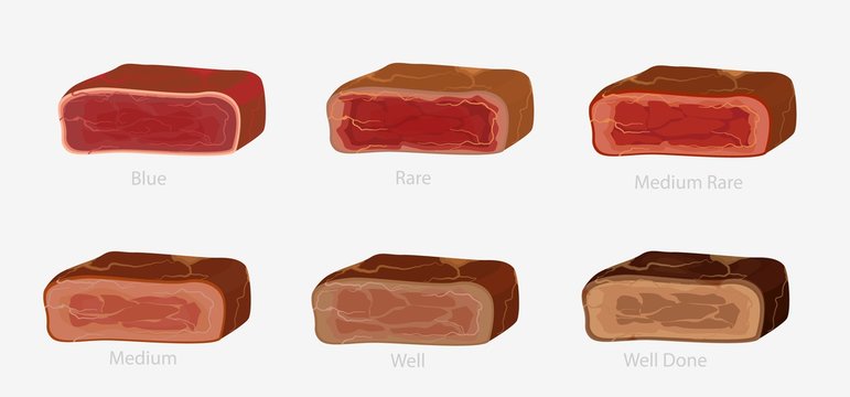 Set of various conditions of steak cooking vector graphic illustration. Collection of appetizing barbecue meat piece blue, rare medium and well doneness isolated on white background. Bbq beef bundle