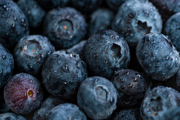 Background Of Are Plane Of Blueberry Raw Texture 