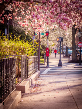 Boston