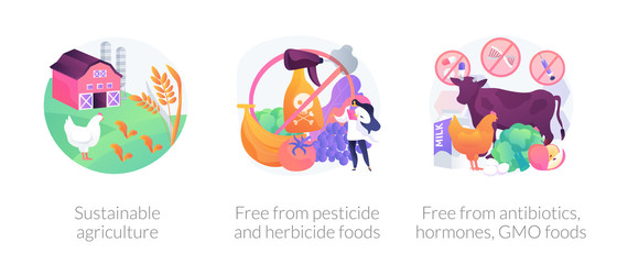 Fototapeta premium Sustainable organic agriculture abstract concept vector illustration set. Free from pesticide and herbicide, antibiotics hormones GMO food, farming process, ecology oriented growing abstract metaphor.
