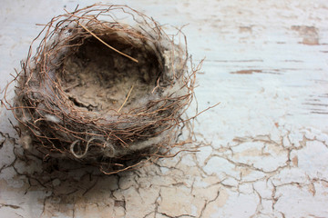 Real nest with quail eggs on old cracked white wooden background. Empty Nest Syndrome concept. Top view