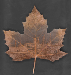 skeleton transparent maple leaf isolated on black background