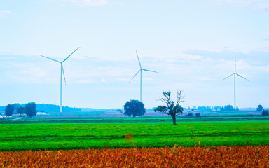 Wind mills in South Moravia reflex