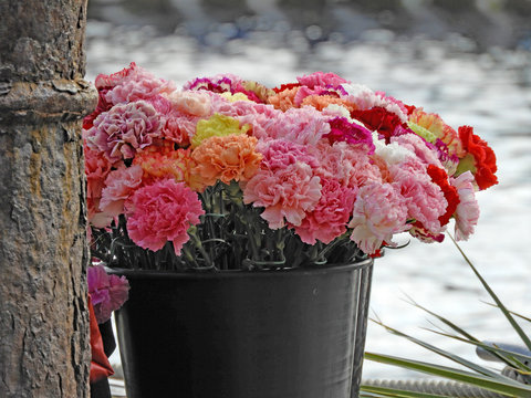 pot d&rsquo;&oelig;illets