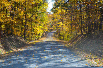 autumn in the park