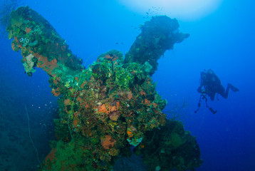 Naklejka na ściany i meble A diver observes the impressive propeller of the sunken ship Heian Maru. This vessel was a second world war Japanese ship that was sunk in Chuuk Lagoon during conflict